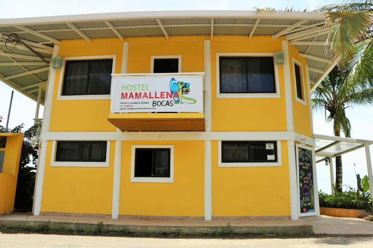 Hostel Mamallena Bocas Del Toro (Adults Only) エクステリア 写真
