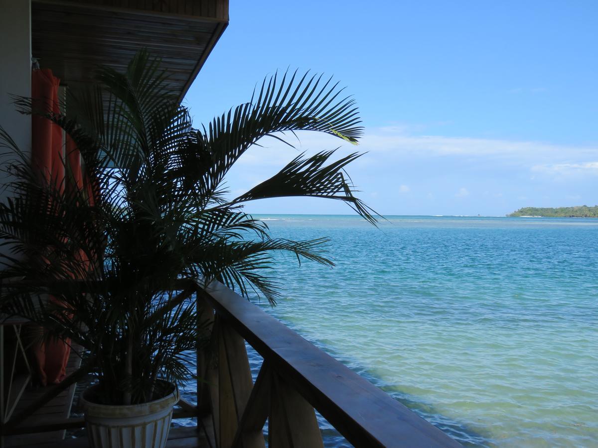 Hostel Mamallena Bocas Del Toro (Adults Only) エクステリア 写真